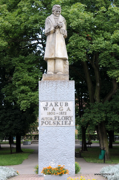 pomnik Jakuba Wagi