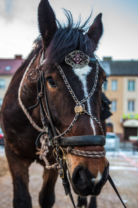 foto Kamil Brzostowski