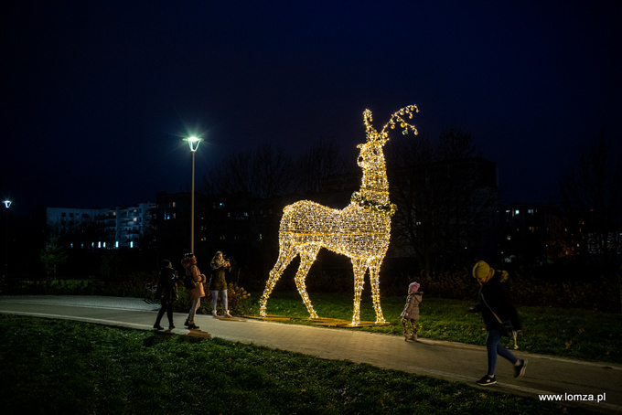 iluminacje świąteczne w Parku Jana Pawła II - Papieża Pielgrzyma w Łomży