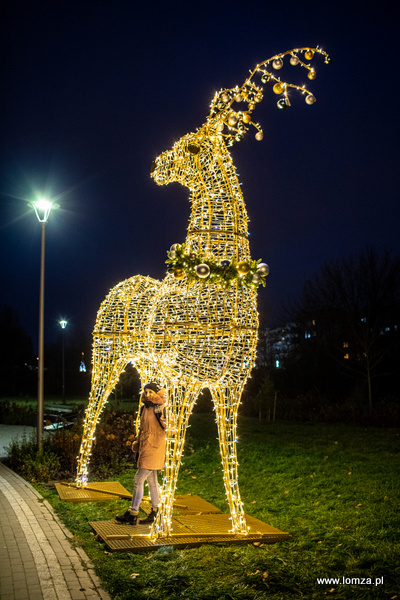 iluminacje świąteczne w Parku Jana Pawła II - Papieża Pielgrzyma w Łomży