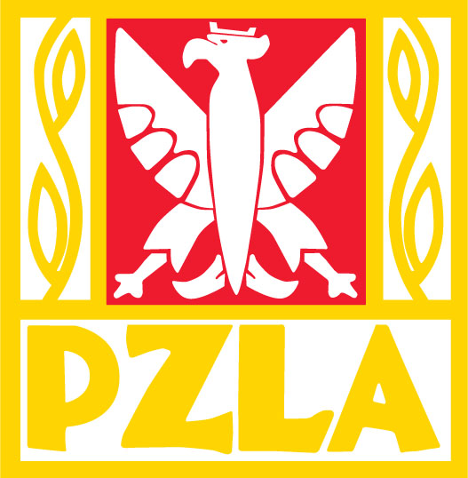 Eliminacje do Ogólnopolskiej Olimpiady Młodzieży w lekkiej atletyce