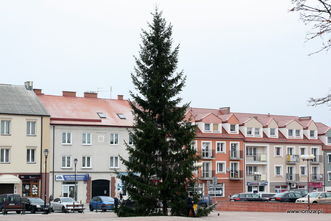 Świąteczna choinka już na Starym Rynku