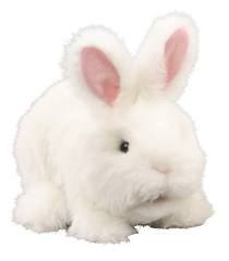 Pilnie poszukiwany biały królik!