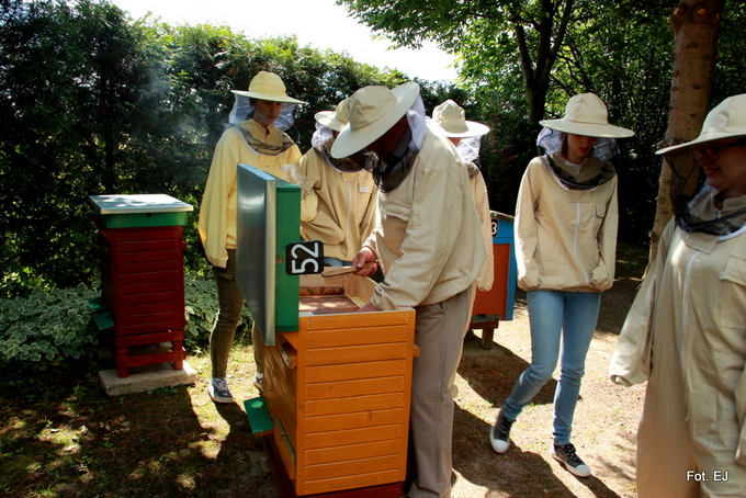 Młodzież z I LO na warsztatach pszczelarskich