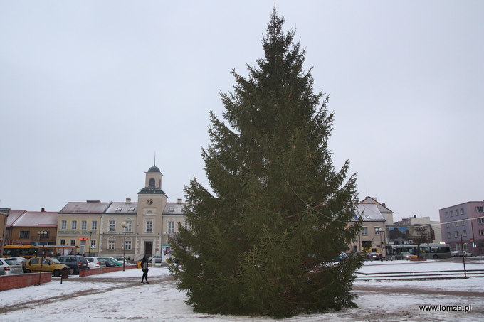 Stary Rynek ze świąteczną choinką