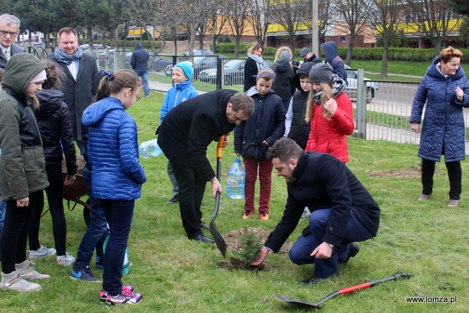 Prezydent Łomży sadził drzewa z uczniami