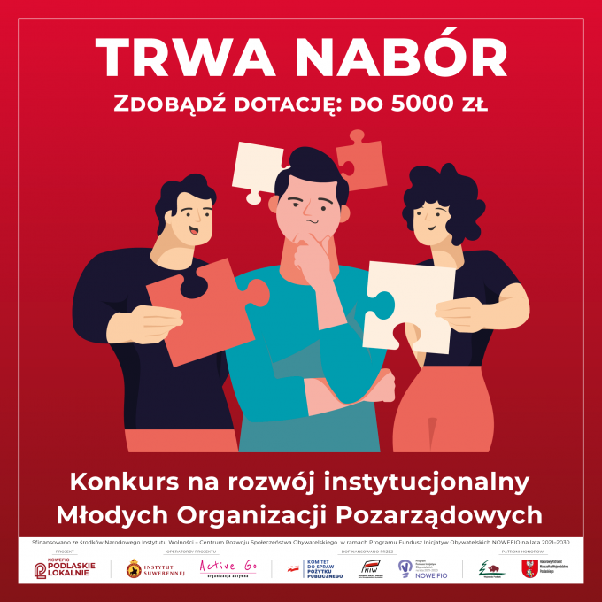 Nabór na mikrodotacje na rozwój instytucjonalny młodych NGO