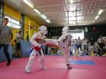 XI Otwarte Mistrzostwa Miasta Łomży w Taekwondo Olimpijskim