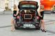 Democar Bud Wil; fot. nightpower.pl